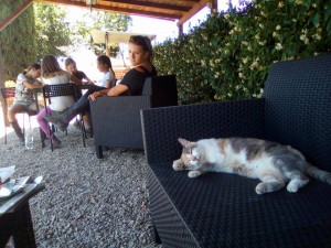 corso relax